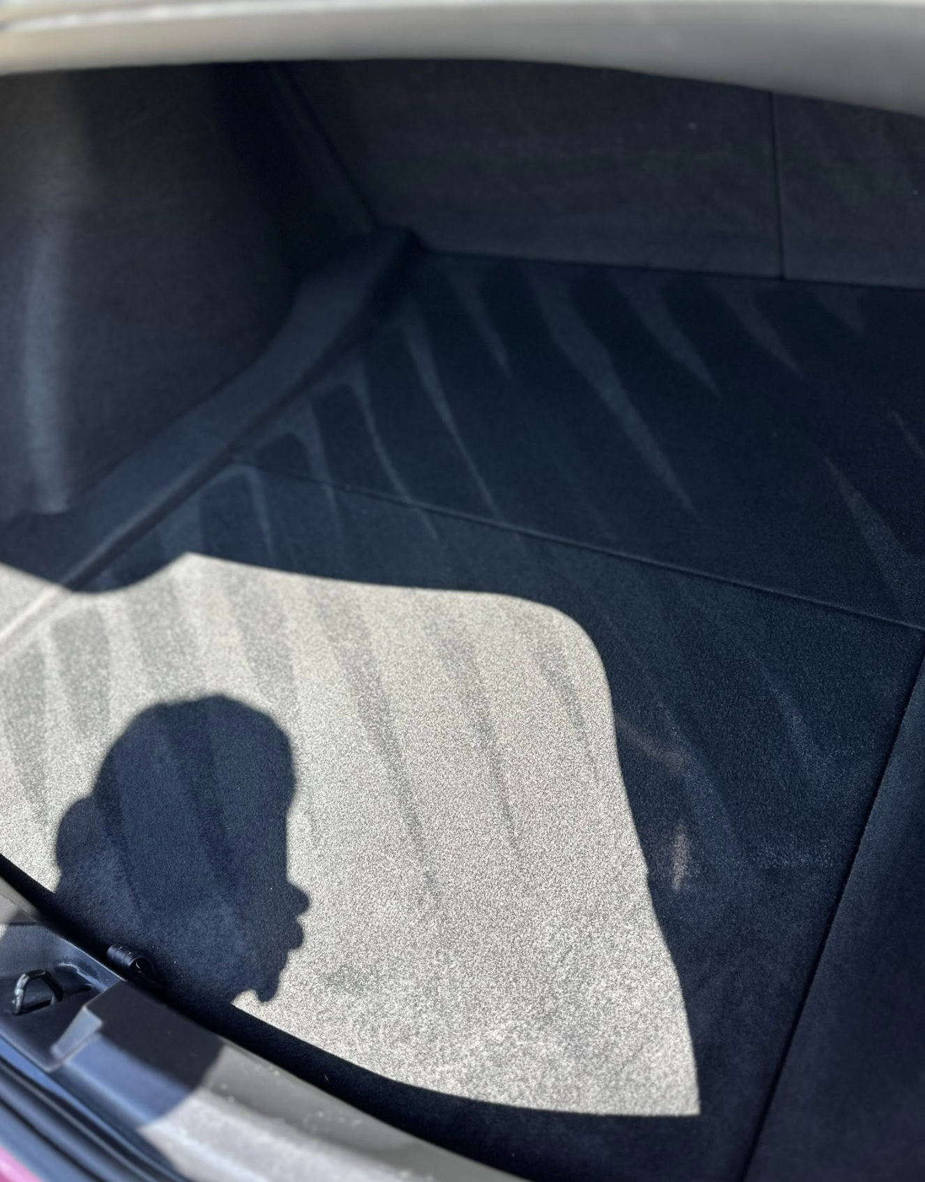 Freshly detailed trunk carpet with deep-cleaned finish
