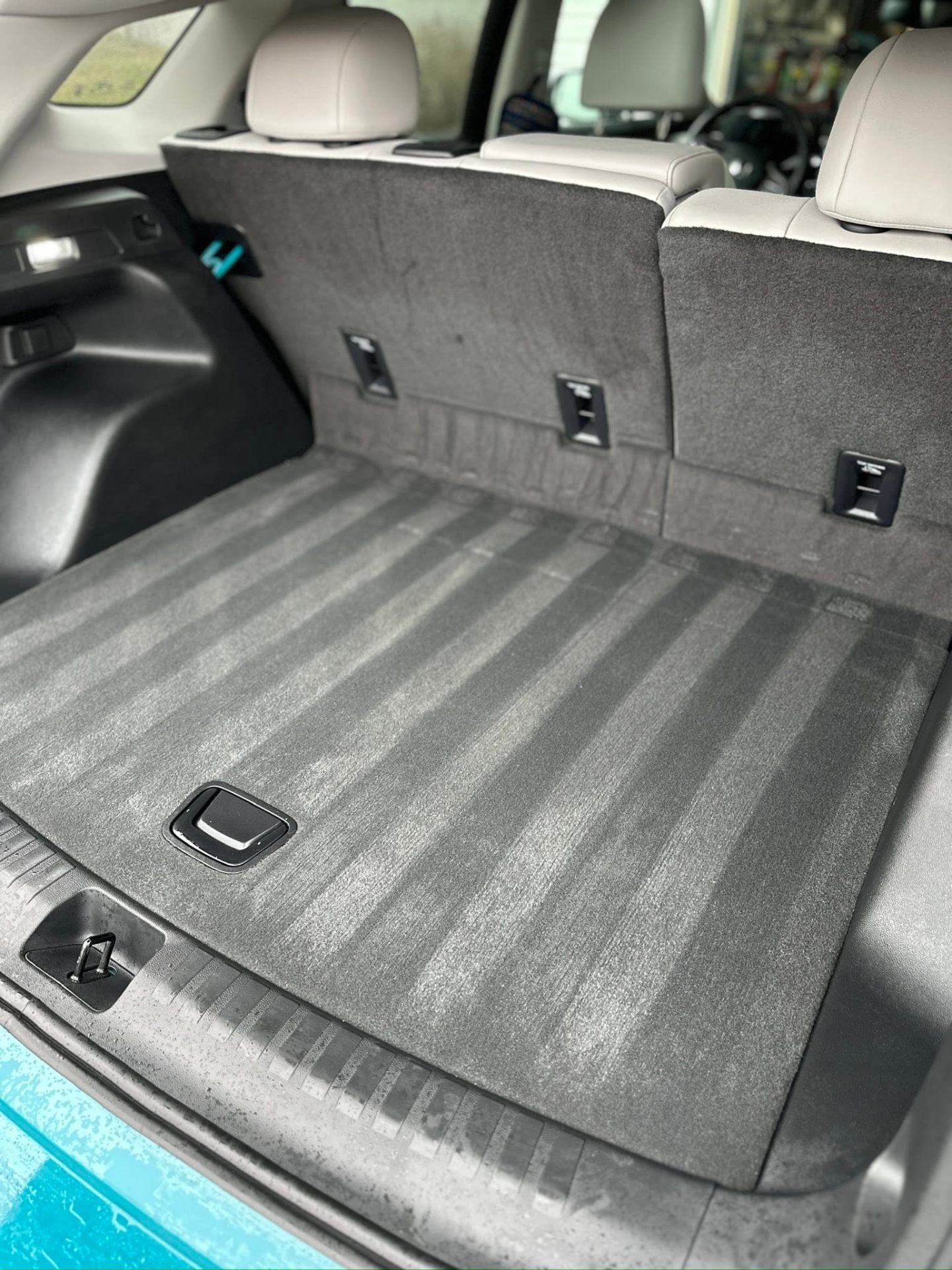 Freshly shampooed cargo area